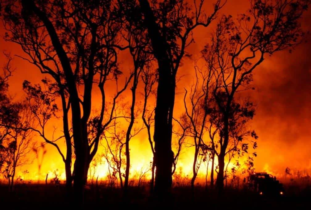 Entire Australian town evacuated in face of bushfire Australian Times