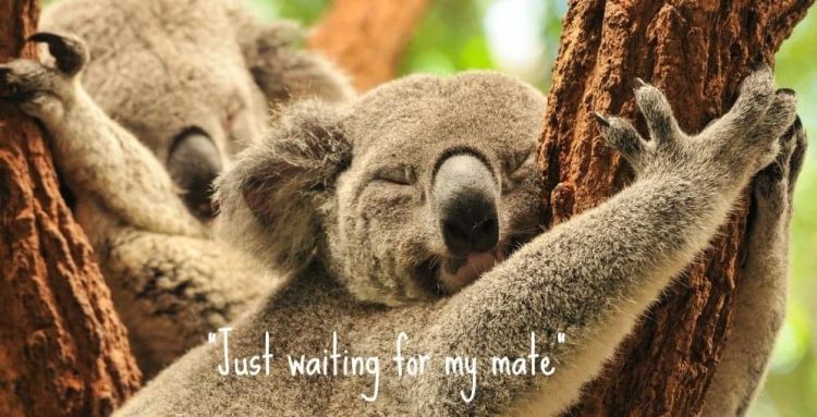 19 beaut sayings that are so typically Australian